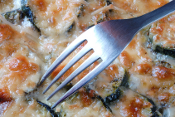 gratin courgettes